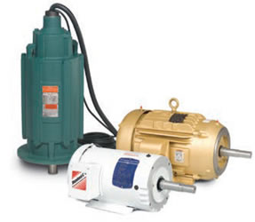 Pump Motors