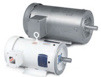 Washdown Duty Motors